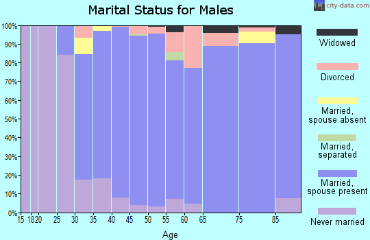 Zip code 08534 marital status for males