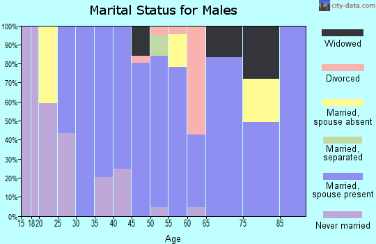 Zip code 08535 marital status for males