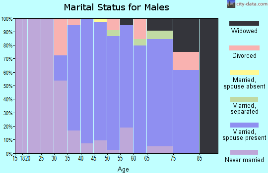 Zip code 08551 marital status for males