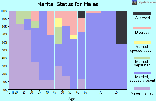 Zip code 08554 marital status for males