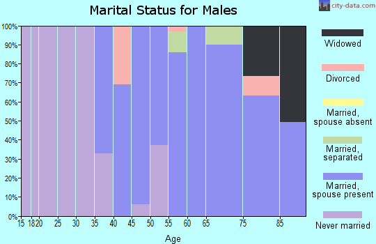 Zip code 08560 marital status for males