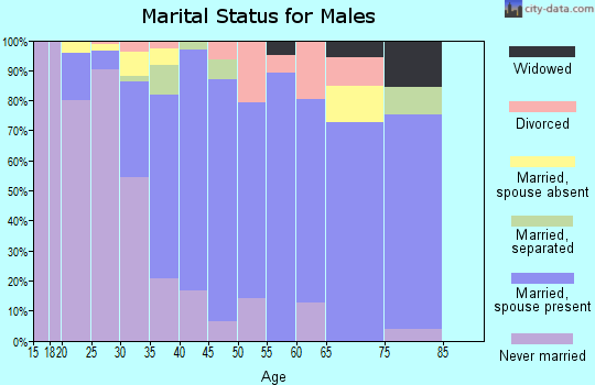 Zip code 08562 marital status for males