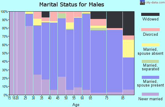 Zip code 08690 marital status for males