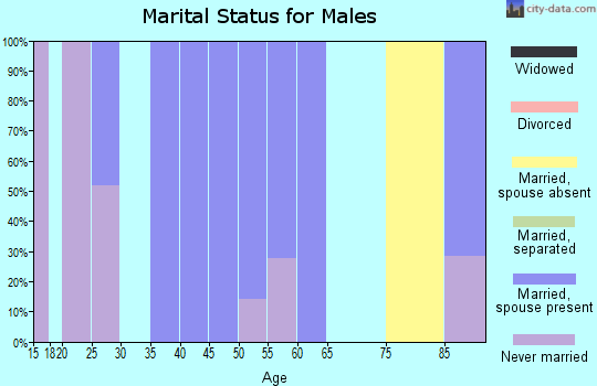 Zip code 08720 marital status for males
