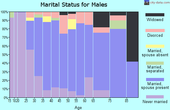 Zip code 08722 marital status for males