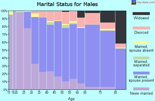 Zip code 08723 marital status for males