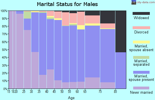 Zip code 08724 marital status for males