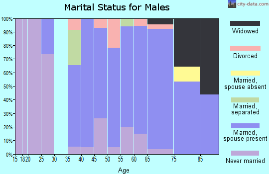Zip code 08730 marital status for males