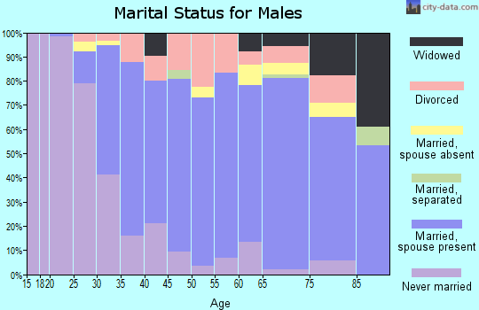 Zip code 08731 marital status for males