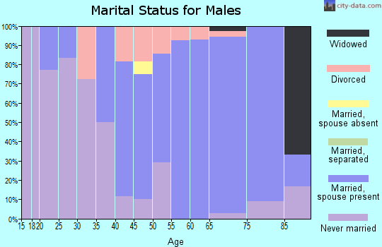 Zip code 08732 marital status for males