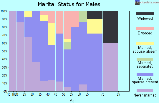 Zip code 08733 marital status for males