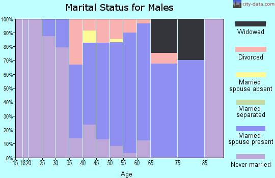 Zip code 08734 marital status for males