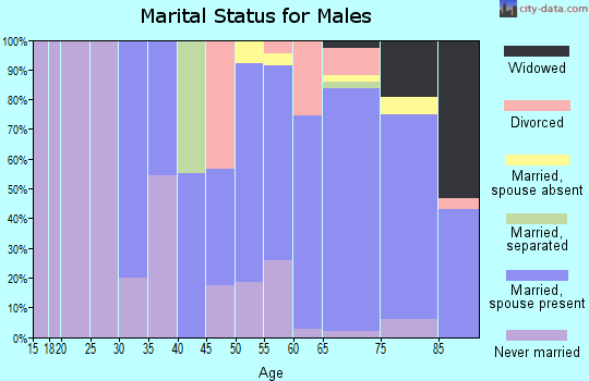 Zip code 08735 marital status for males