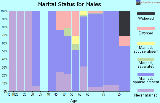 Zip code 08738 marital status for males