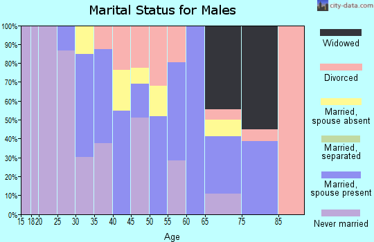 Zip code 08740 marital status for males
