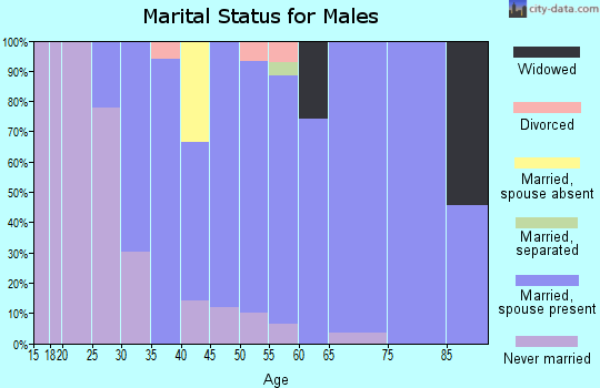 Zip code 08741 marital status for males