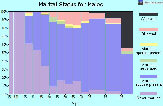 Zip code 08742 marital status for males