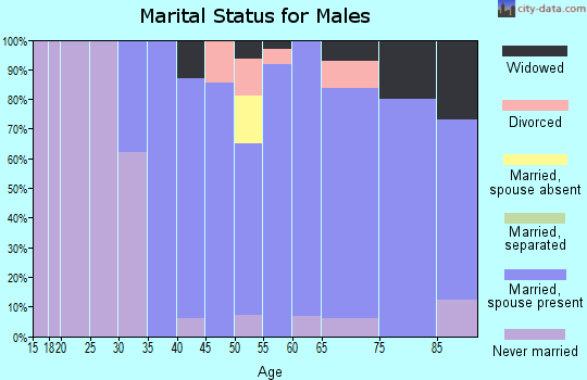 Zip code 08750 marital status for males