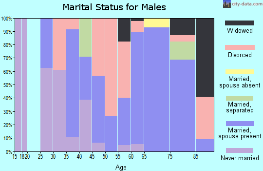 Zip code 08752 marital status for males