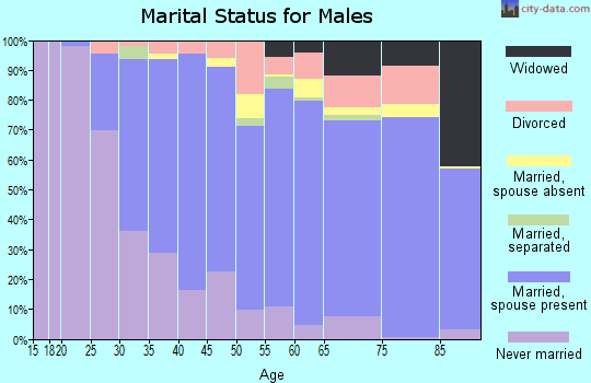 Zip code 08755 marital status for males