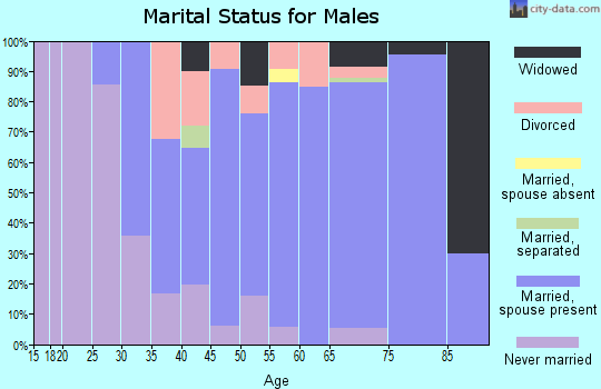 Zip code 08758 marital status for males