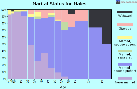 Zip code 08801 marital status for males