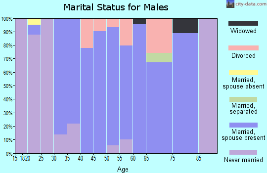 Zip code 08802 marital status for males