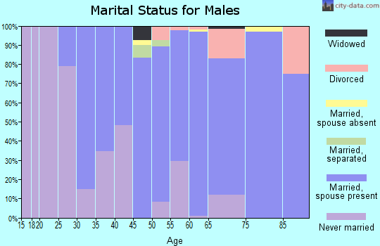 Zip code 08804 marital status for males