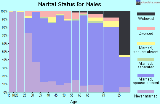Zip code 08807 marital status for males