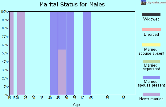 Zip code 08821 marital status for males