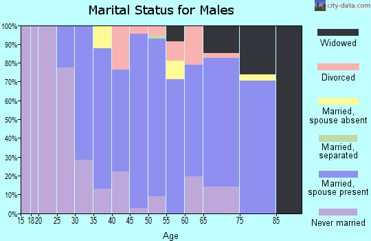 Zip code 08825 marital status for males