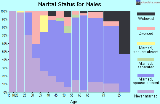 Zip code 08826 marital status for males