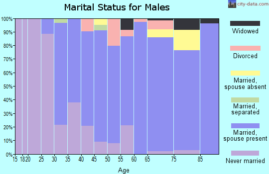 Zip code 08827 marital status for males