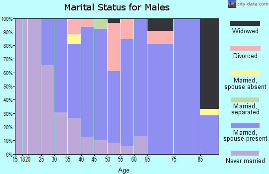Zip code 08828 marital status for males