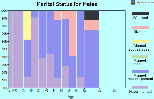 Zip code 08832 marital status for males