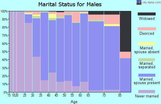 Zip code 08840 marital status for males