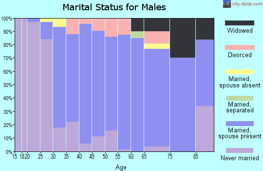 Zip code 08846 marital status for males