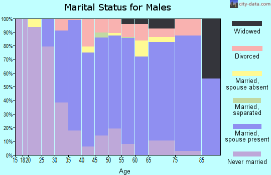 Zip code 08848 marital status for males