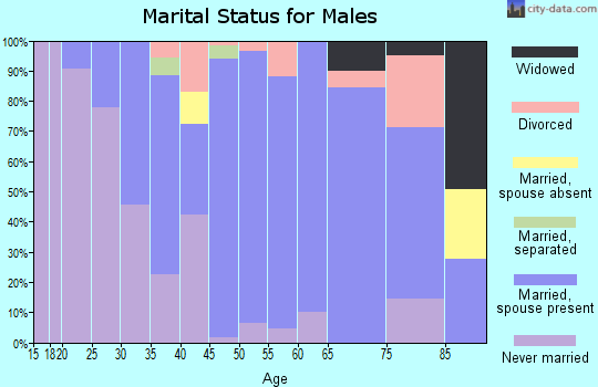 Zip code 08850 marital status for males
