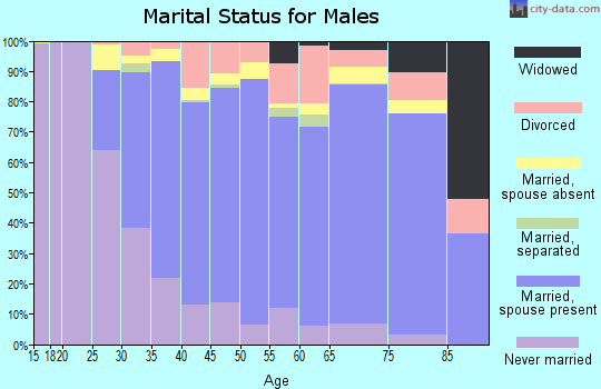 Zip code 08854 marital status for males