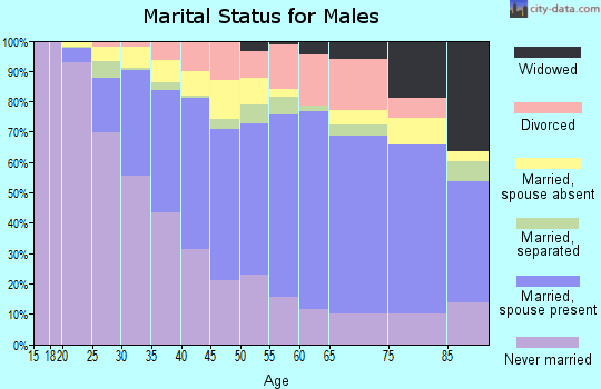 Zip code 08861 marital status for males