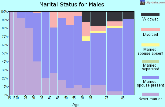 Zip code 08863 marital status for males