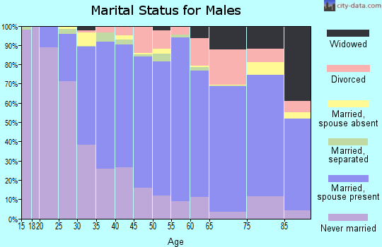 Zip code 08865 marital status for males