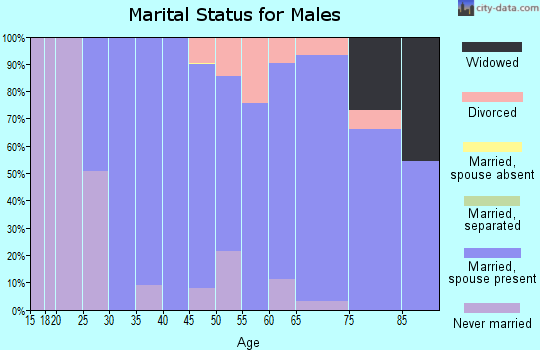 Zip code 08867 marital status for males