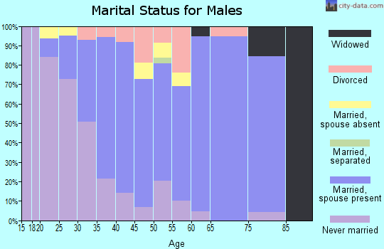 Zip code 08869 marital status for males