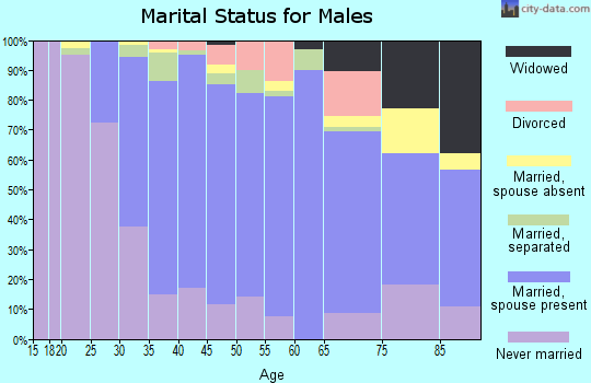 Zip code 08872 marital status for males