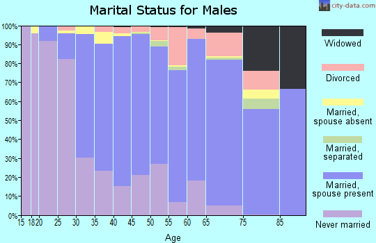 Zip code 08876 marital status for males