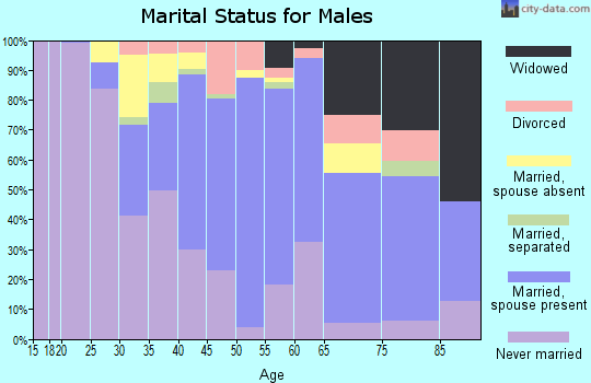 Zip code 08882 marital status for males