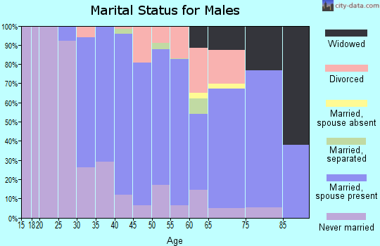 Zip code 08884 marital status for males