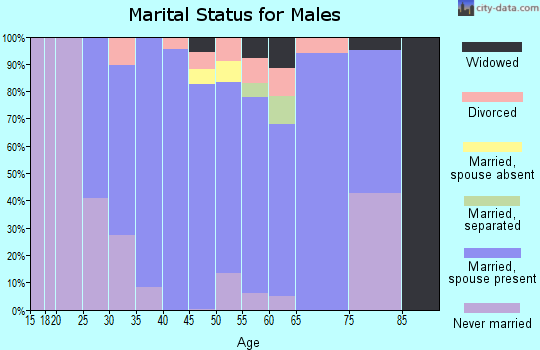 Zip code 08886 marital status for males
